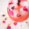 CO-17 Cobalto Douro Gin - Image 5